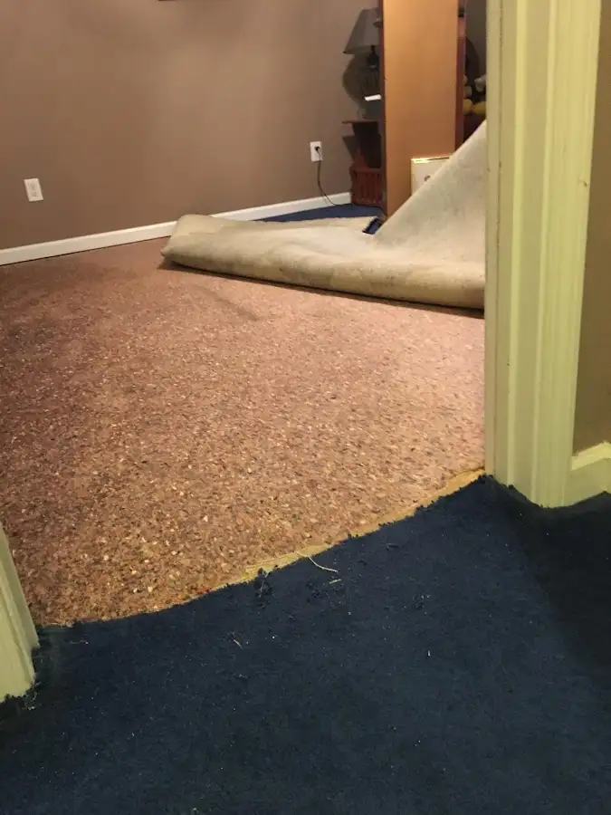 Carpet pad removal revealing water damage during Water Mitigation Services in Abingdon