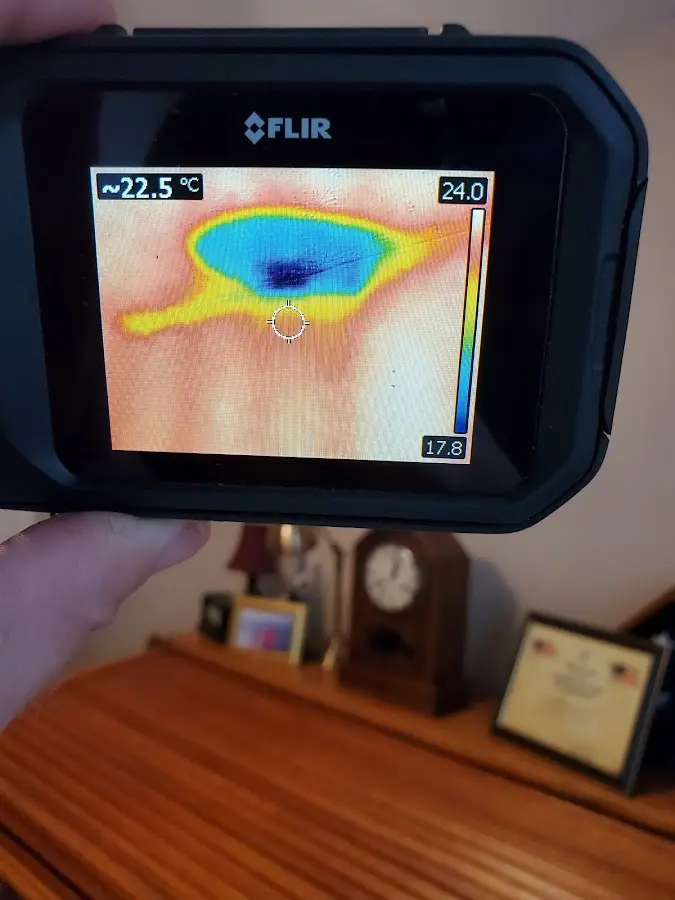 Thermal imaging inspection for water damage in Abingdon