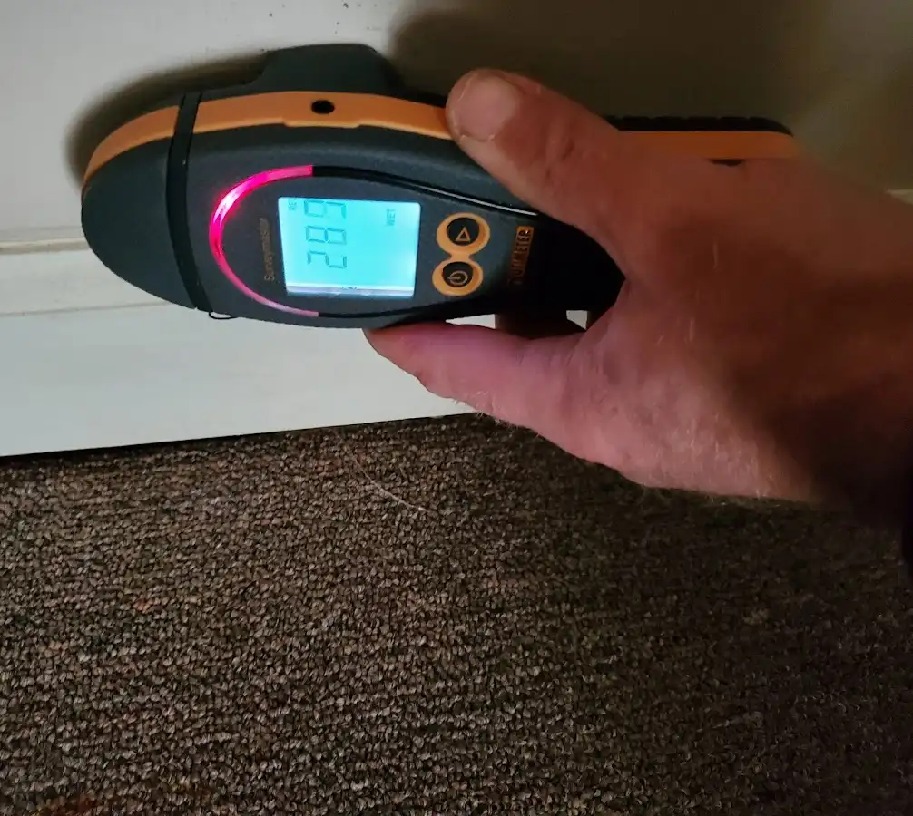 Moisture detection at baseboard during Sewage Cleanup & Sanitation in Abingdon